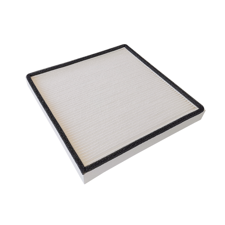 AH320 POLLEN Filter – BONECO
