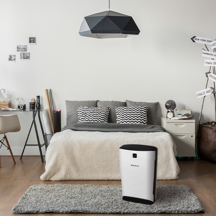 Purificatore d'aria P340