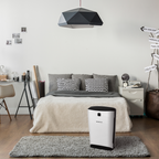 Purificatore d'aria P340