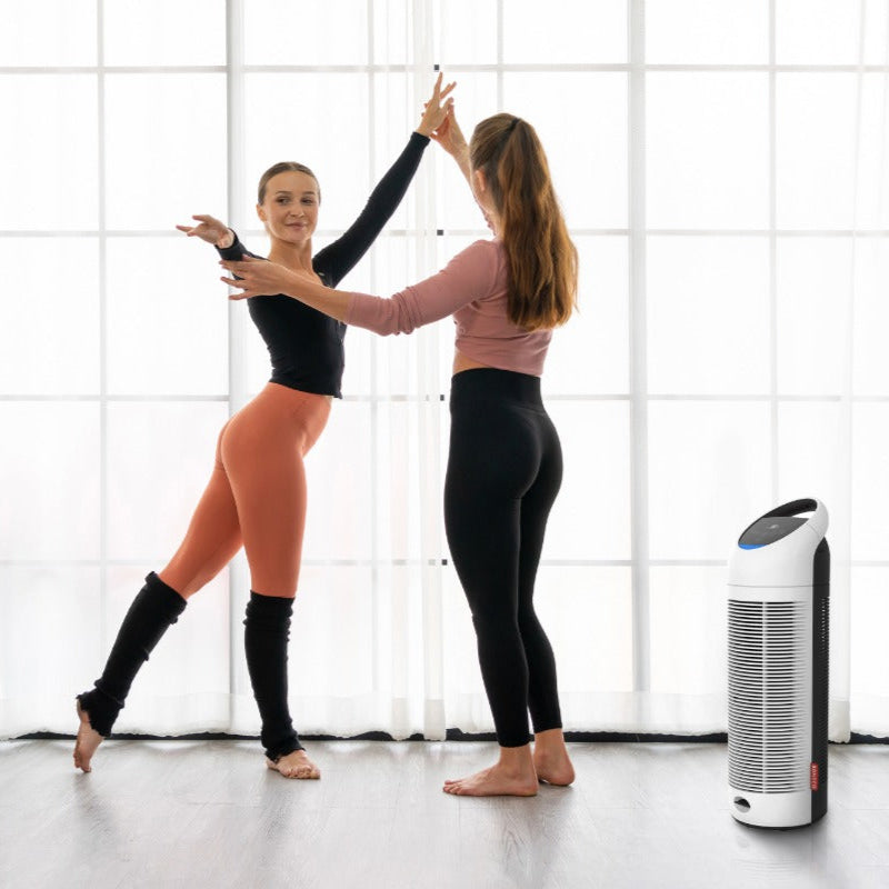 Air Purifier P370