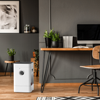 Humidificateur et Purificateur HYBRIDE H300