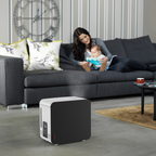 Humidifier Steamer S450