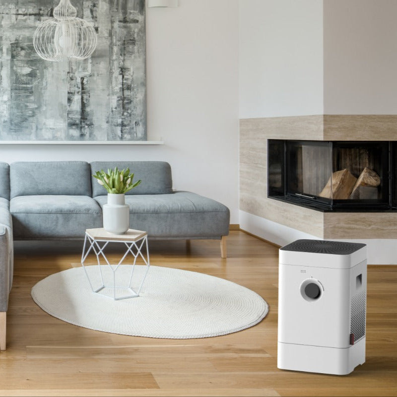 HYBRID Humidifier & Purifier H300