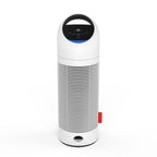 Purificateur d'air P300