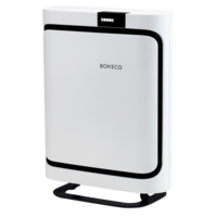 Air Purifier P400