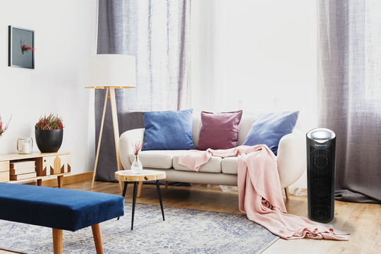 1062-Envion_Therapure_living_room