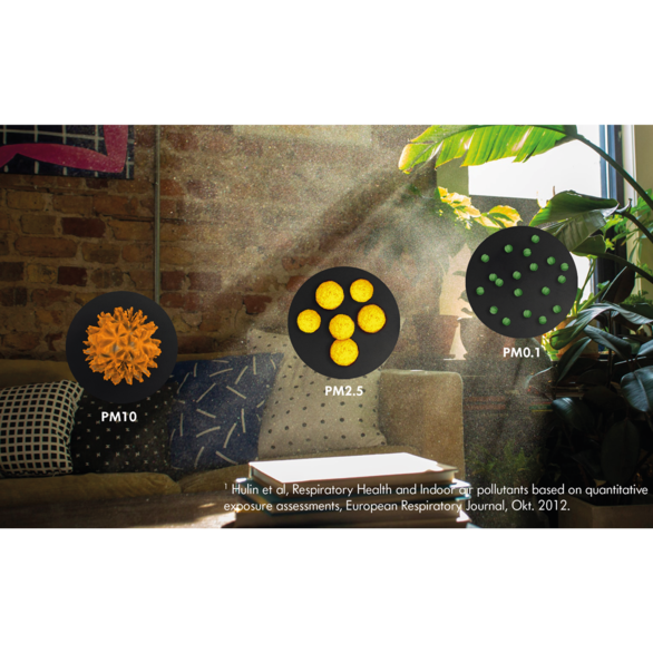 1634-Bacterias_BONECO.png?v=5-0